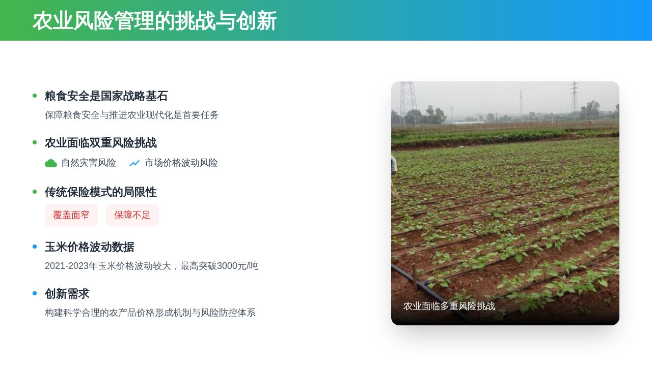 Chinese agriculture risk management slide example