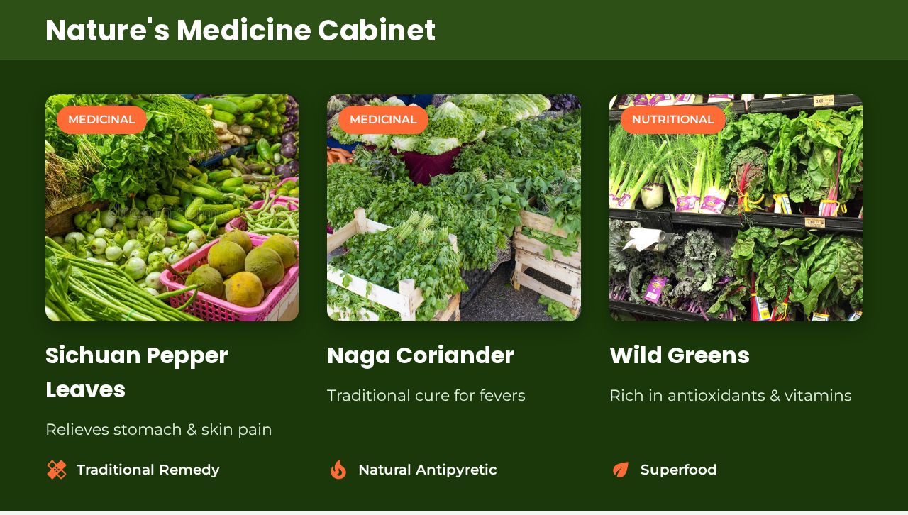 Medicinal vegetables slide example